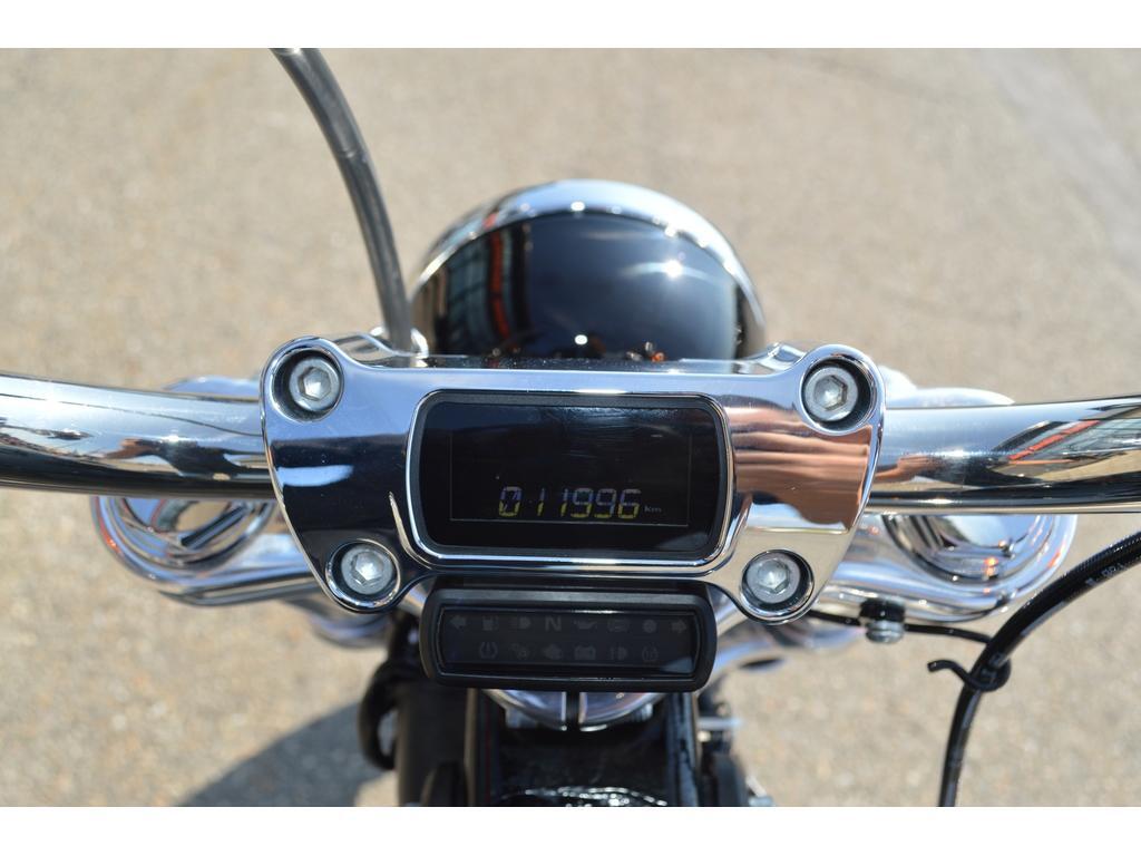 Harley-Davidson FXST Softail 2024
