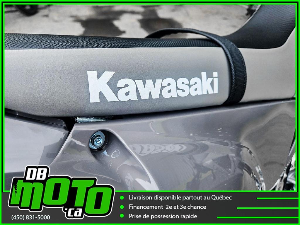 Kawasaki KLX 300 SM 2025