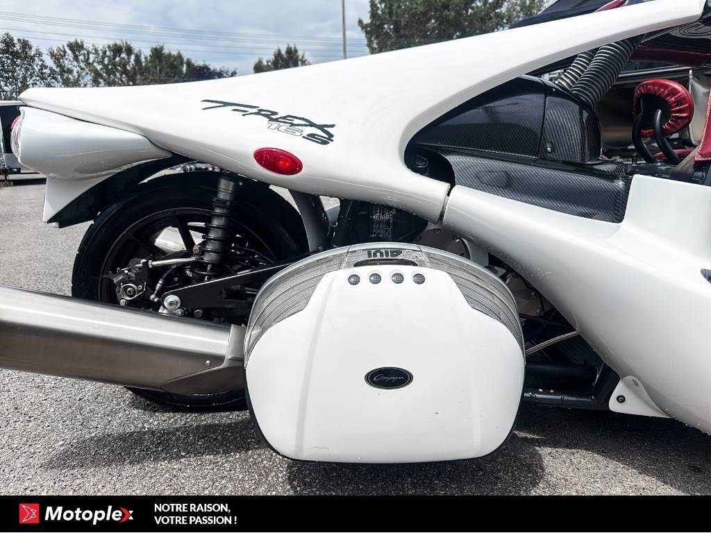 Campagna T-Rex 16S 2017