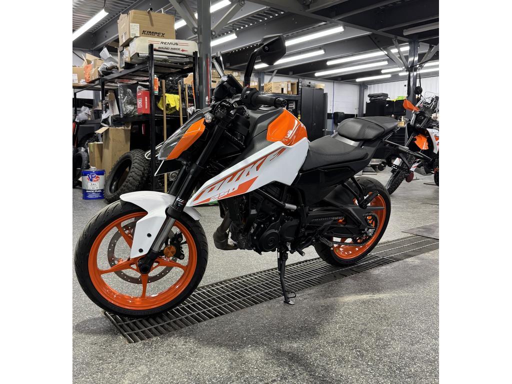 KTM 250 DUKE 2024