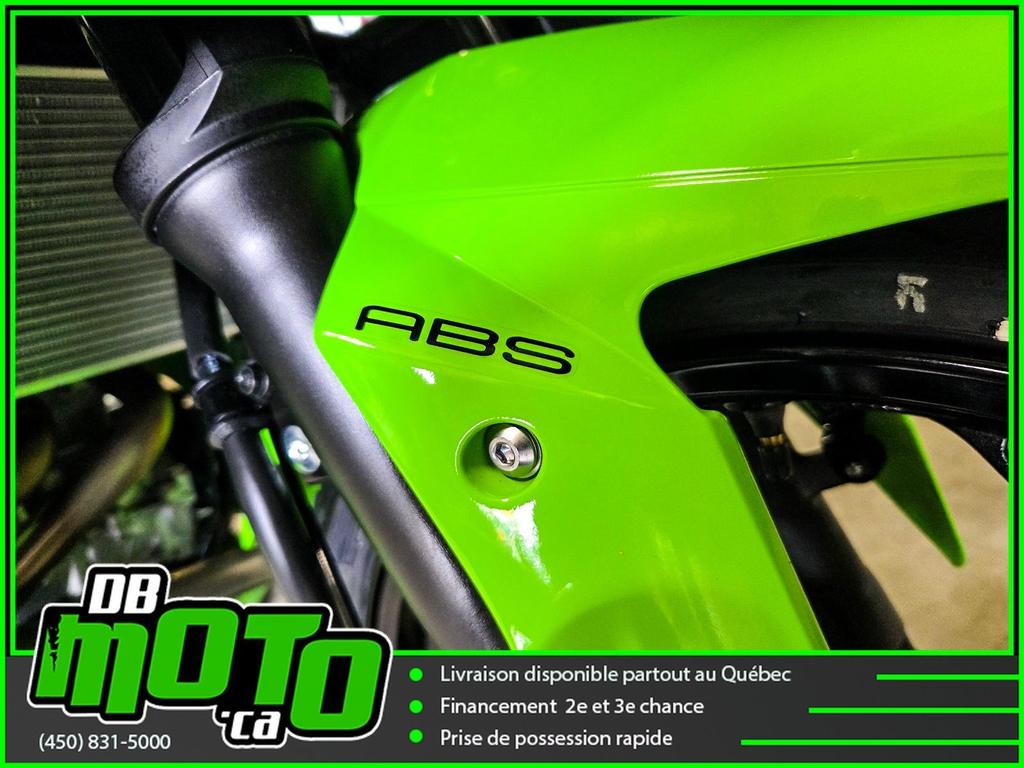 Kawasaki NINJA 300 2026