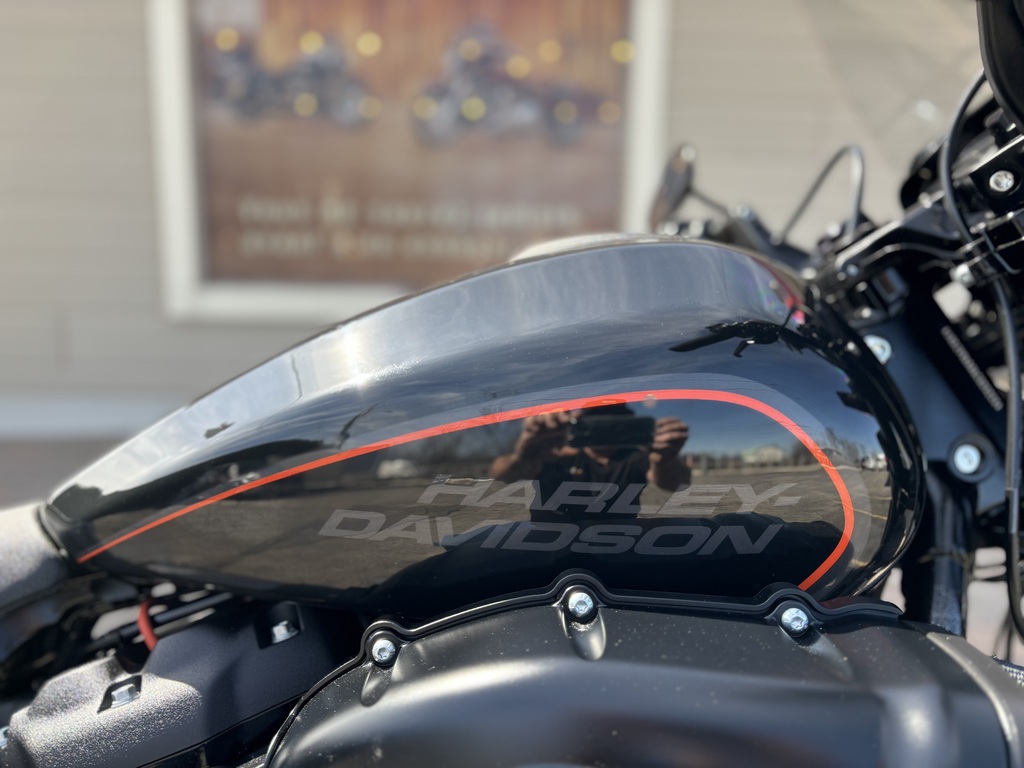 Harley-Davidson Softail 2019