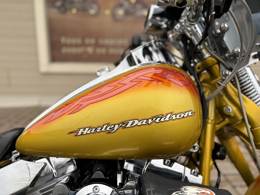 Harley-Davidson FXSTSSE Screamin Eagle 2007