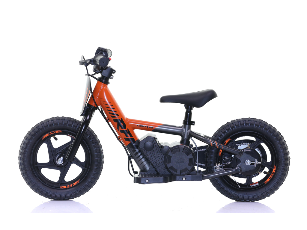 Apollo Motors SEDNA 12 2025