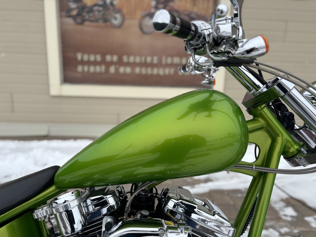 Harley-Davidson Artisanal 2010