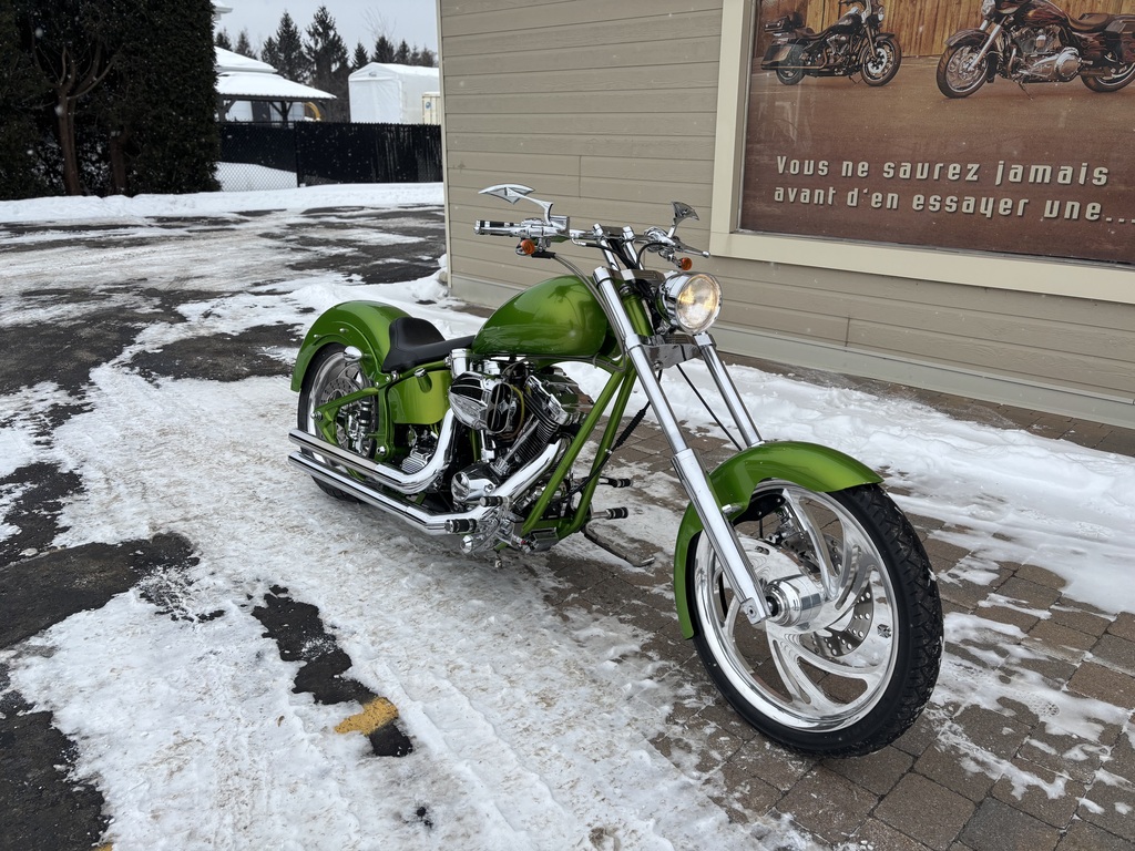 Harley-Davidson Artisanal 2010