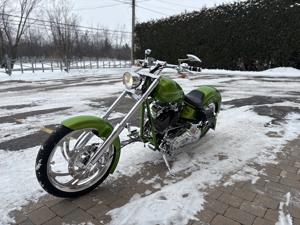 Harley-Davidson Artisanal 2010