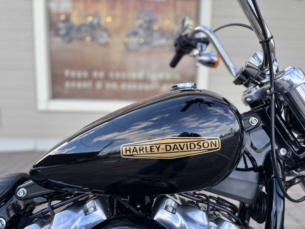 Harley-Davidson FXST Softail Standard 2020