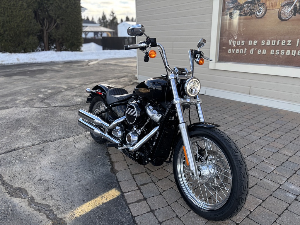 Harley-Davidson FXST Softail Standard 2020