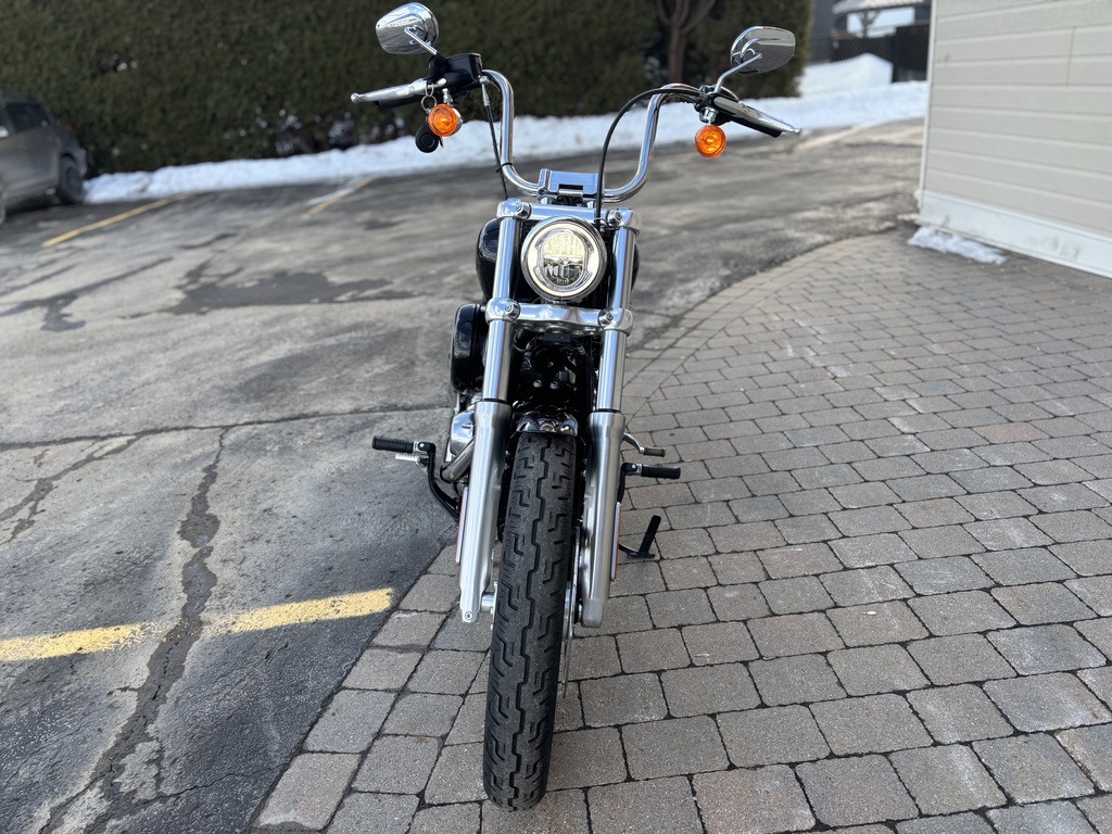 Harley-Davidson FXST Softail Standard 2020