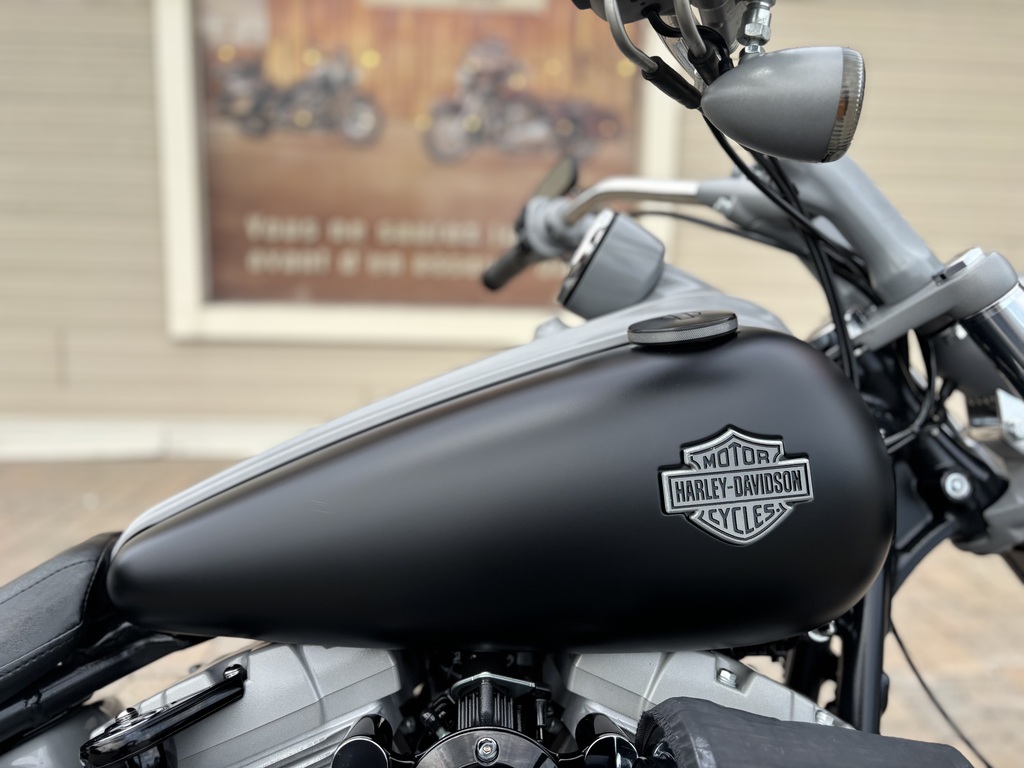 Harley-Davidson Softail 2009