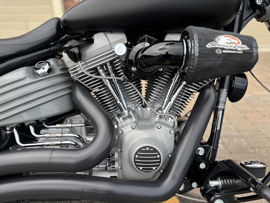 Harley-Davidson Softail 2009