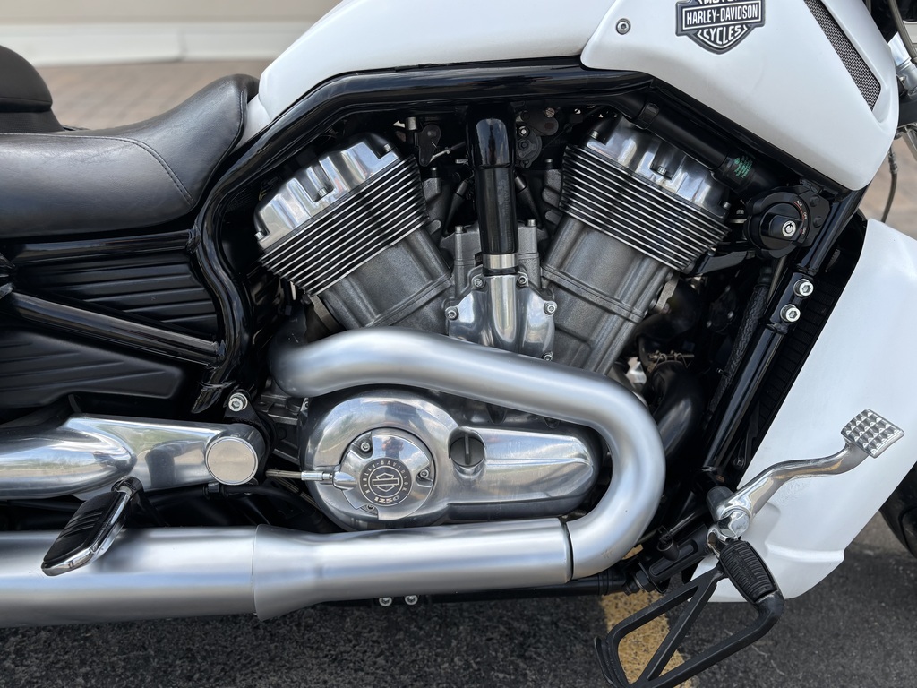 Harley-Davidson VRSCF Muscle V-Rod 2011