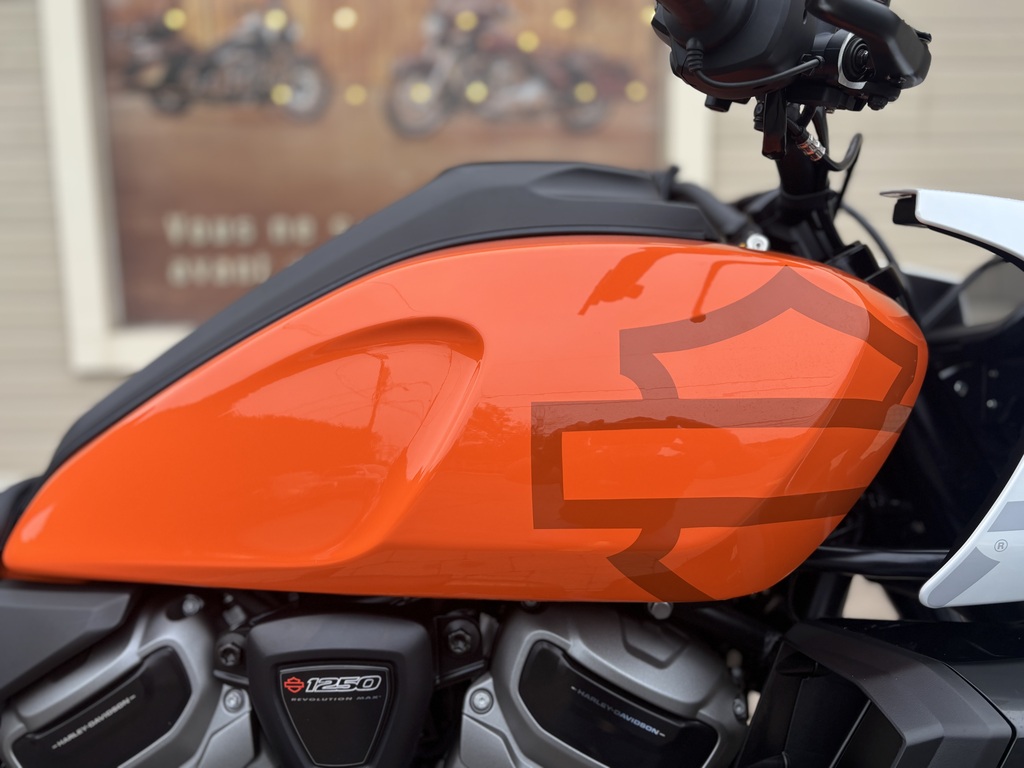 Harley-Davidson Pan America 1250 Special 2021