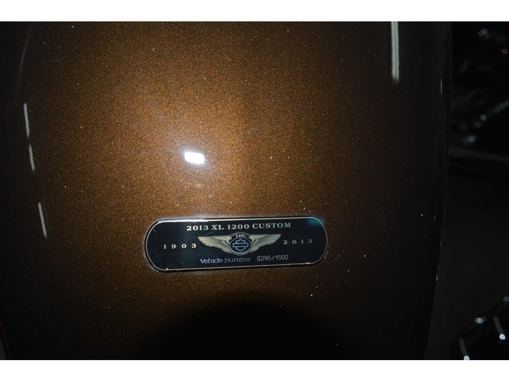 Harley-Davidson XL1200C 2013