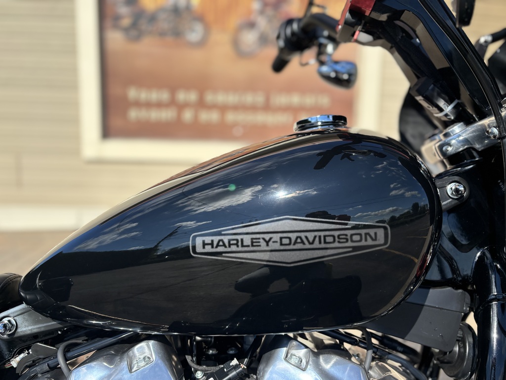 Harley-Davidson Softail 2021
