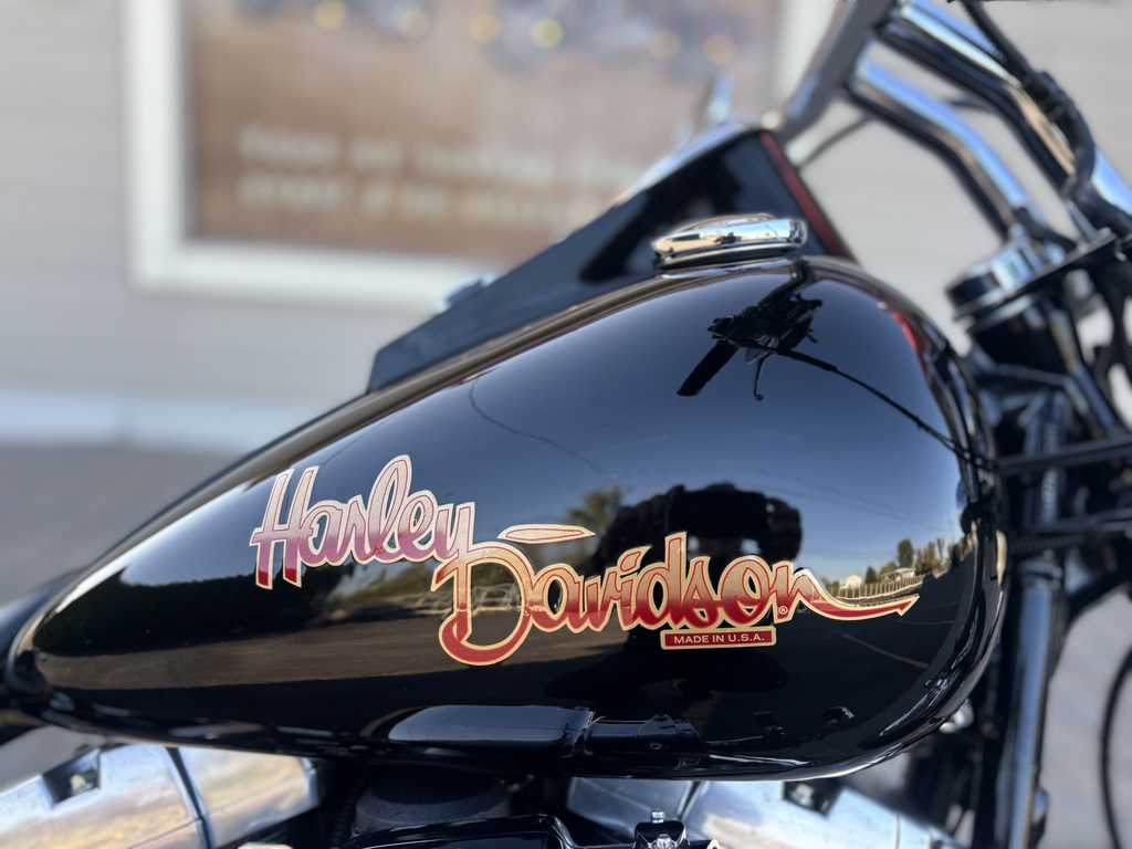 Harley-Davidson Softail 2002