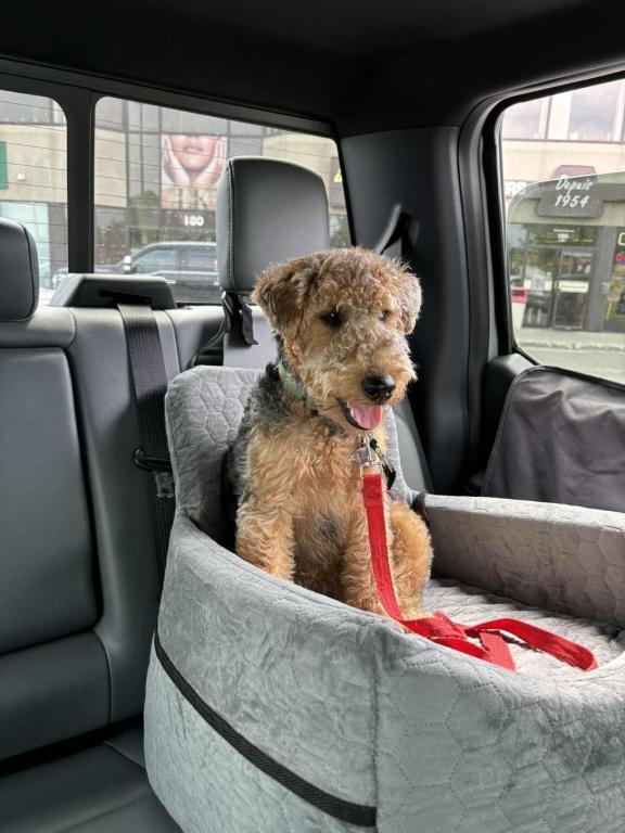 Cliquez pour agrandir