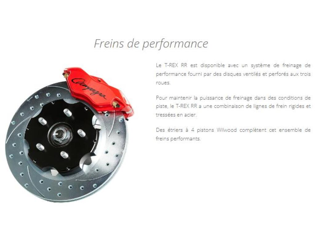 Campagna T-REX RR Customize/ Personaliser votre t-rez Comma 2025