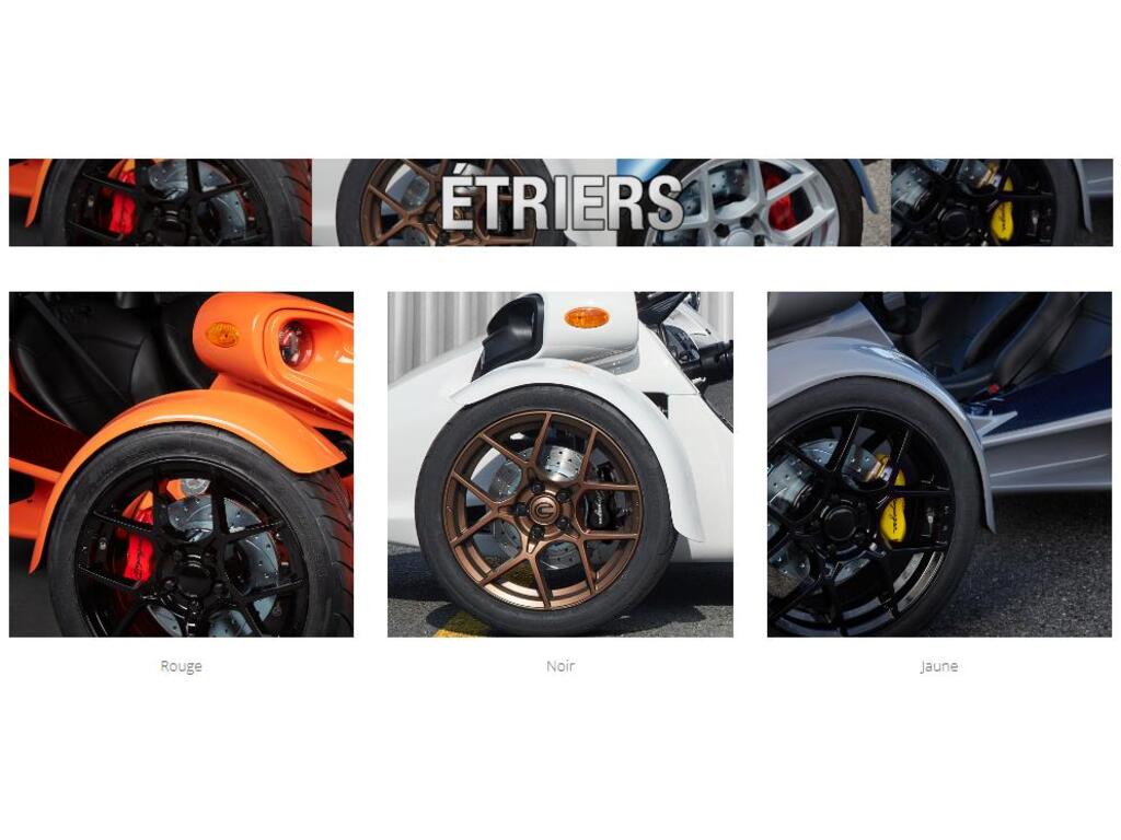 Campagna T-REX RR Customize/ Personaliser votre t-rez Comma 2025