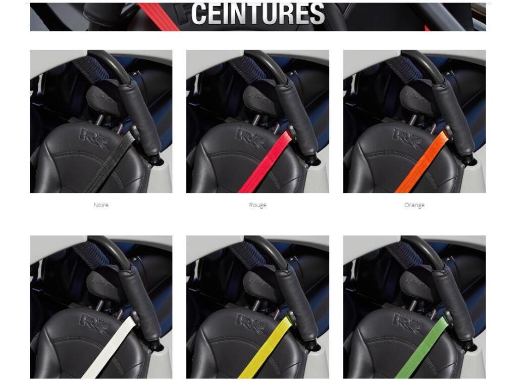 Campagna T-REX RR Customize/ Personaliser votre t-rez Comma 2025