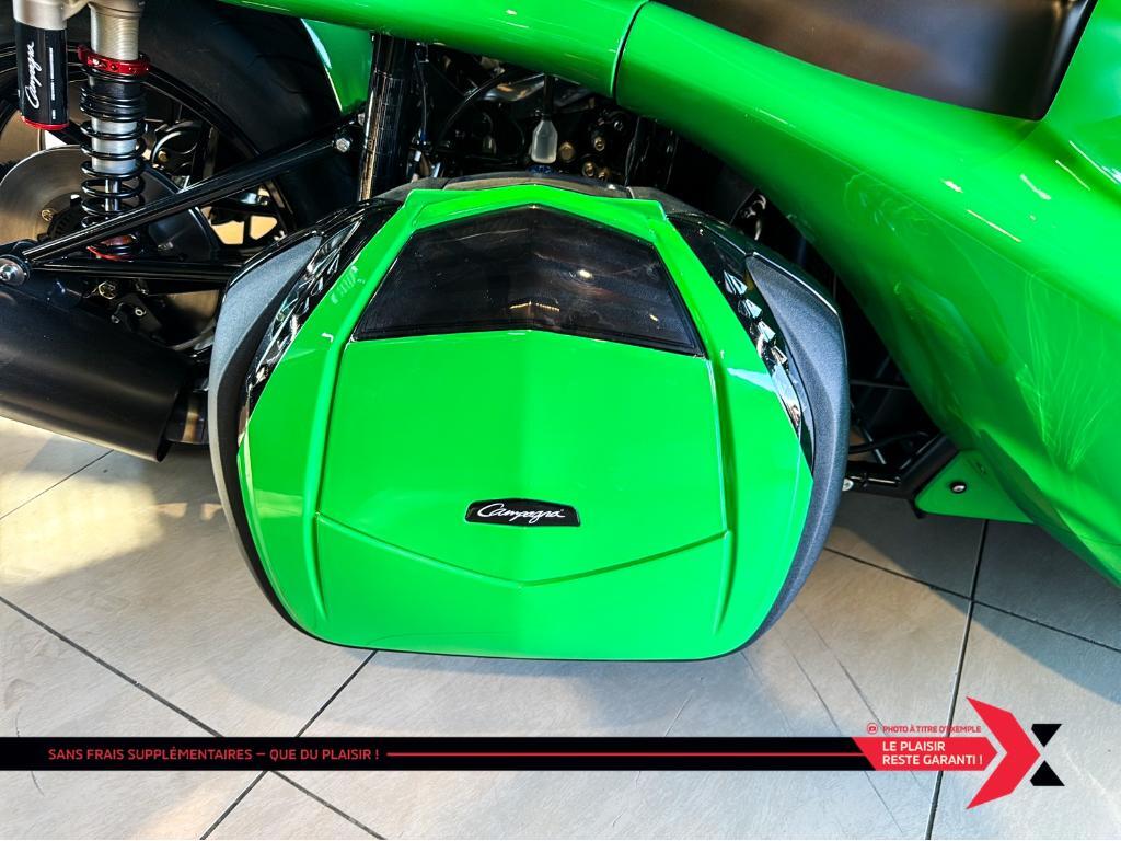 Campagna T-Rex RR 2025