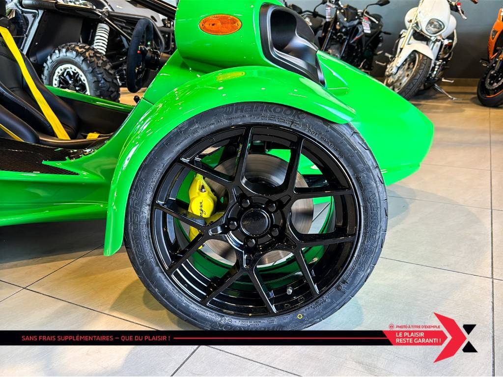 Campagna T-Rex RR 2025