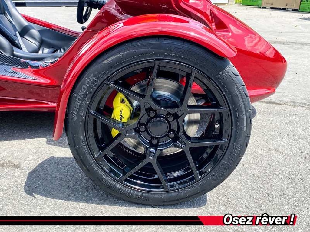 Campagna T-Rex RR 2025