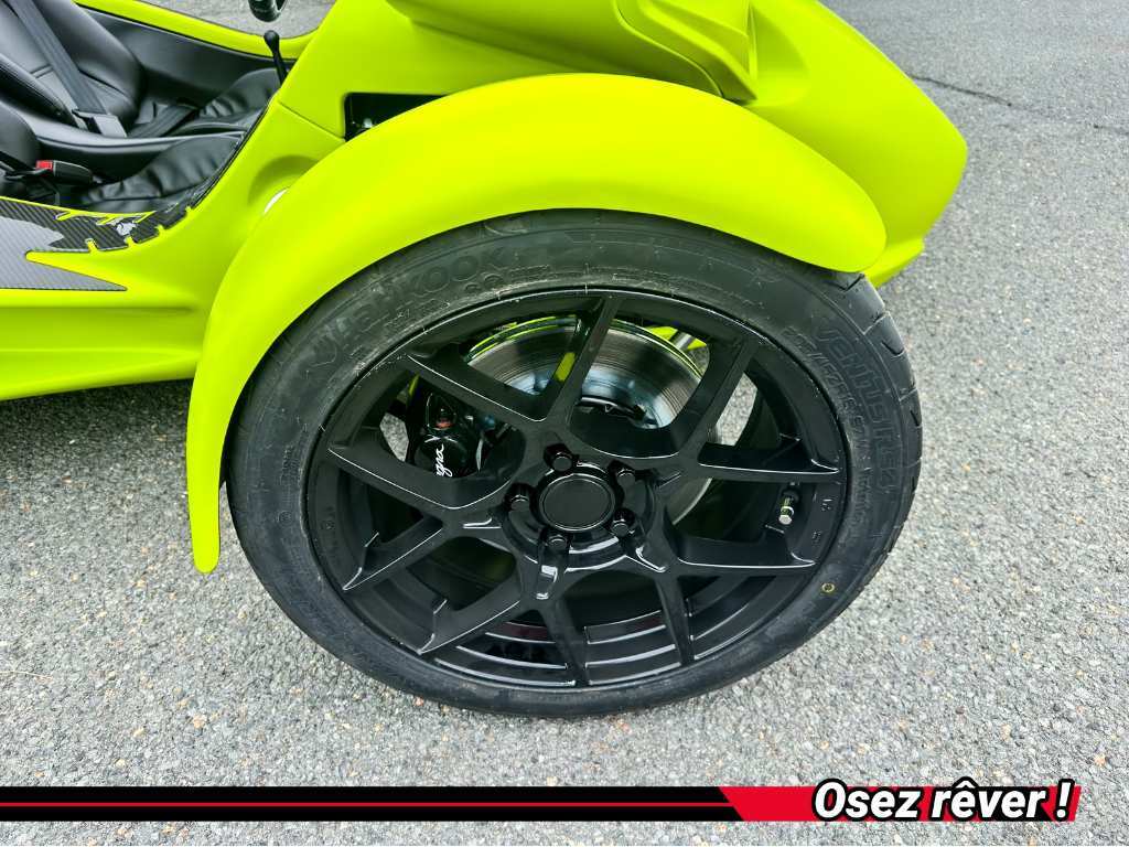 Campagna T-Rex RR 2025