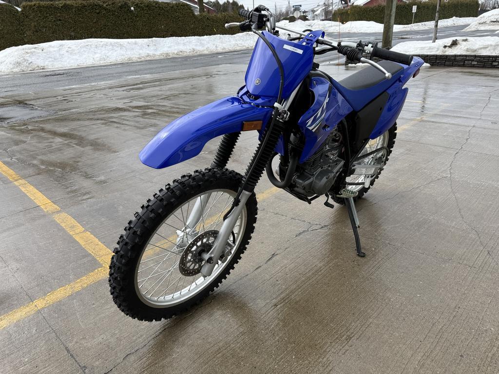 Yamaha TT-R230T-C 2025