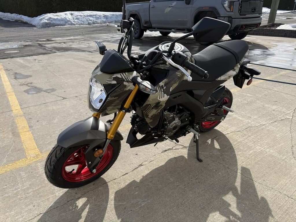 Kawasaki Z125 PRO 2025