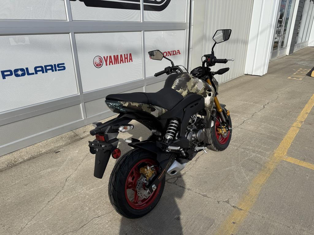 Kawasaki Z125 PRO 2025