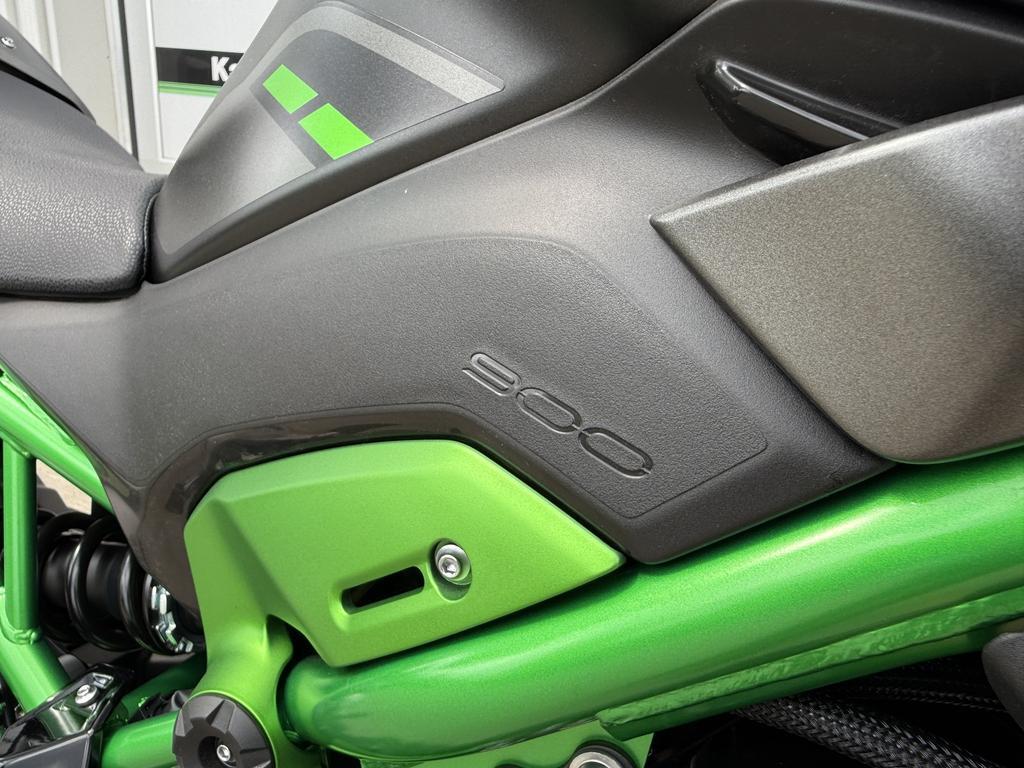 Kawasaki Z900 ABS 2025