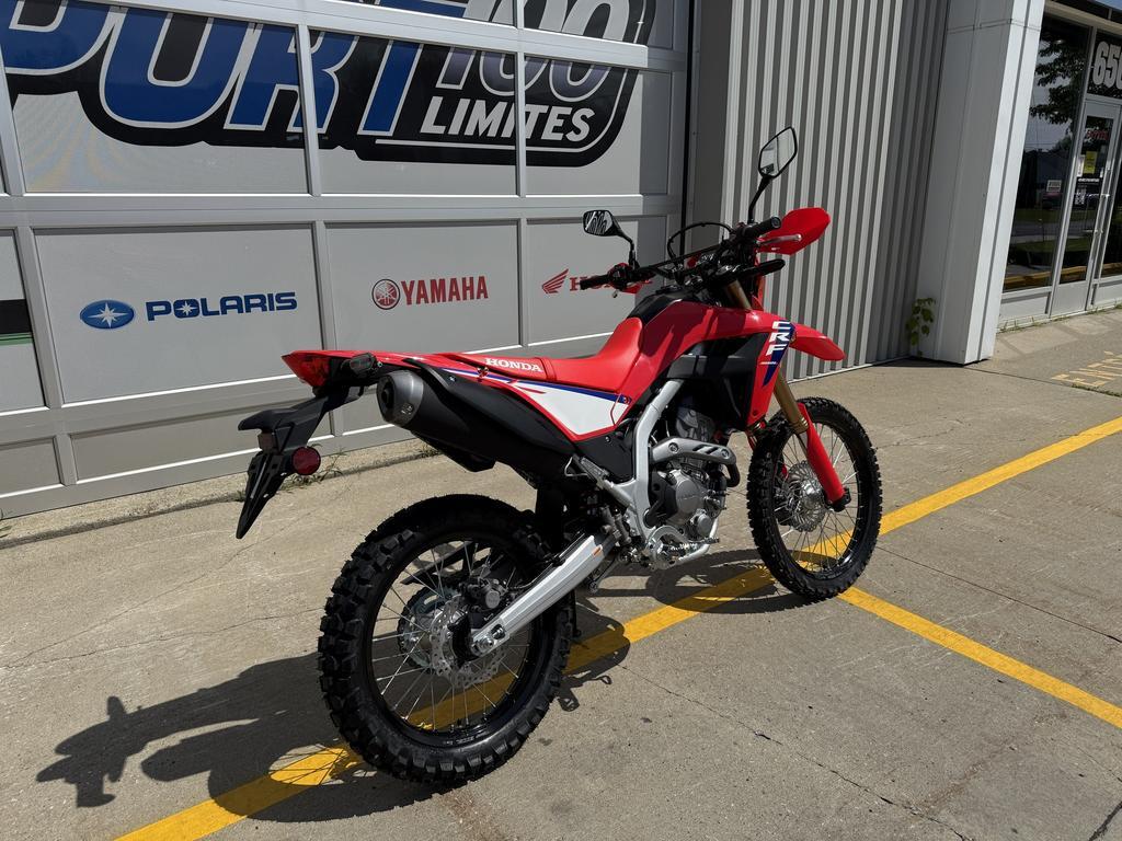Honda CRF300L ABS 2025