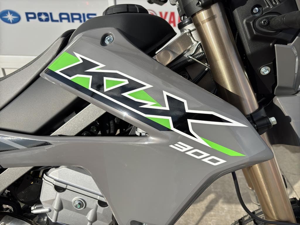 Kawasaki KLX300 2025