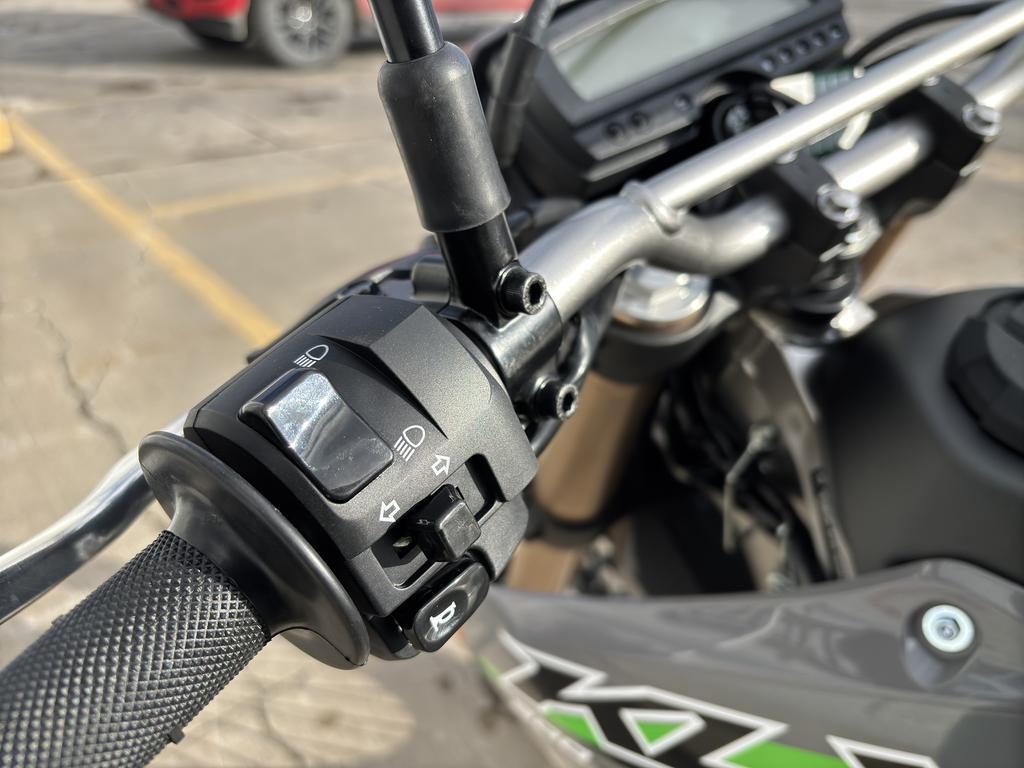 Kawasaki KLX300 2025