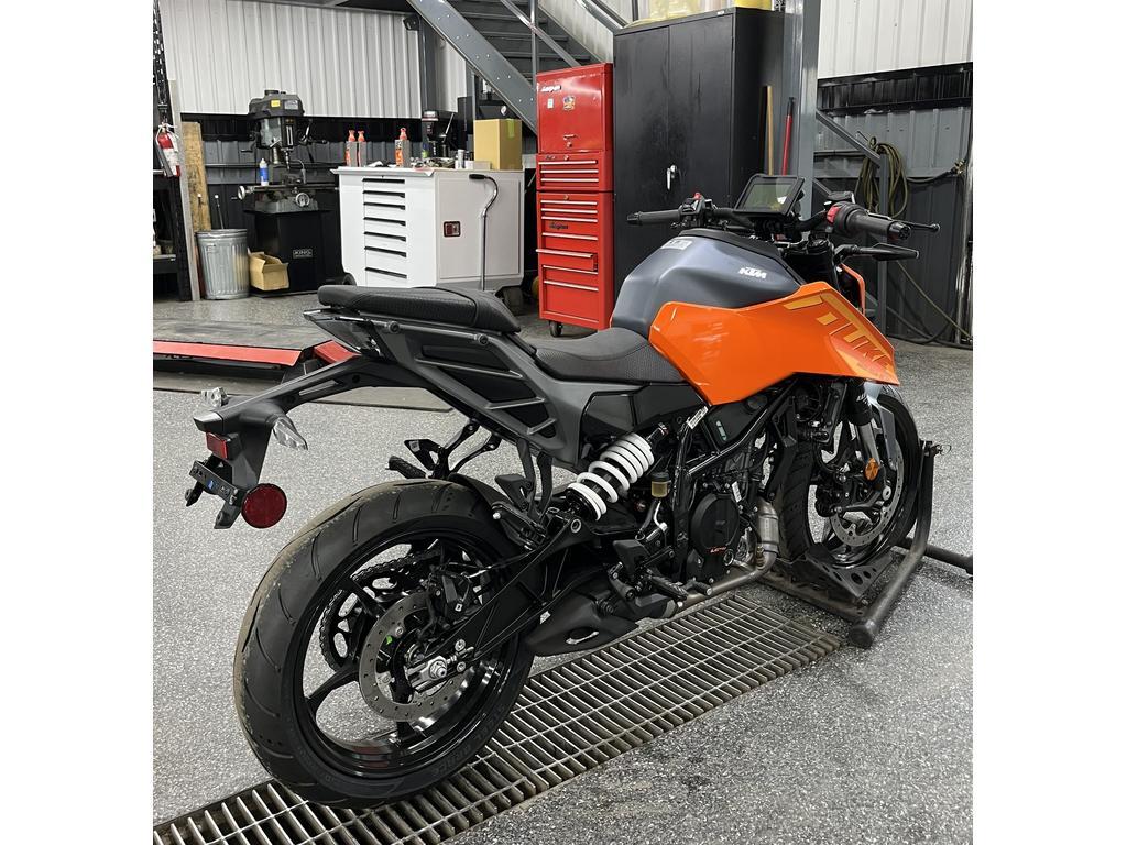 KTM 250 DUKE 2024