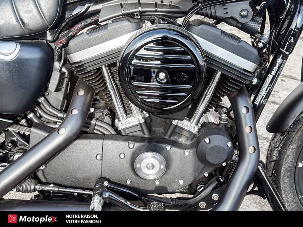 Harley-Davidson XL883 Sportster 2019