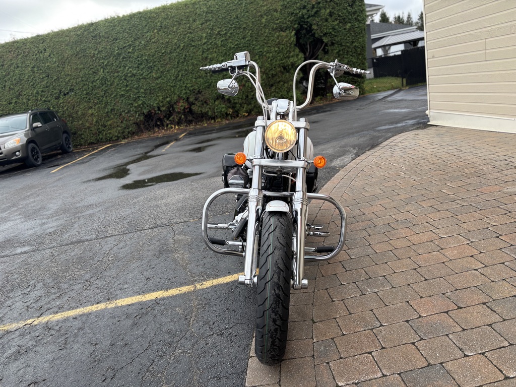Harley-Davidson FXDL Dyna Low Rider 2008