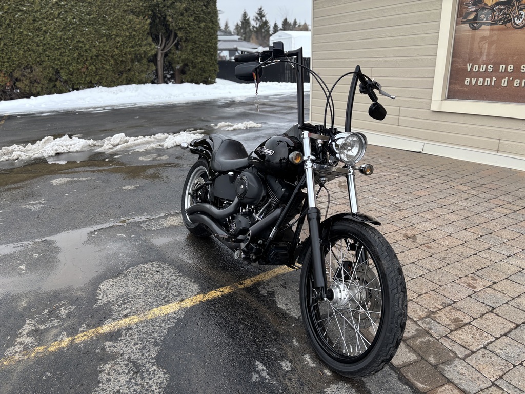 Harley-Davidson Softail 2007