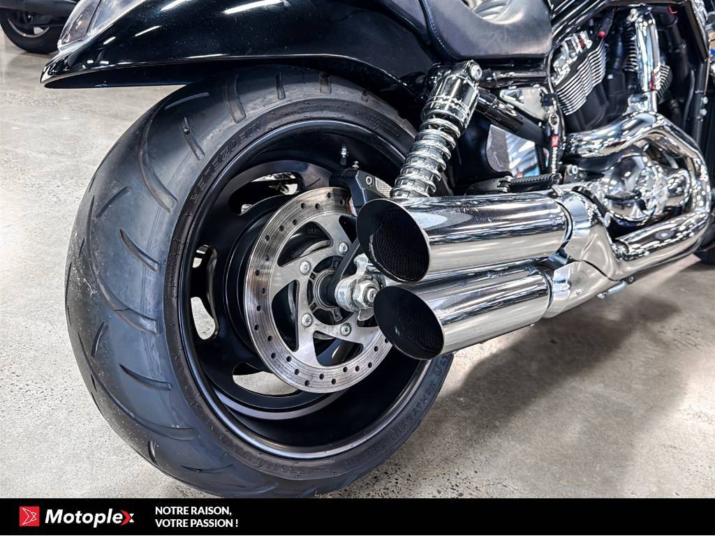 Harley-Davidson VROD NIGHT ROD *BAS KILO* 2006