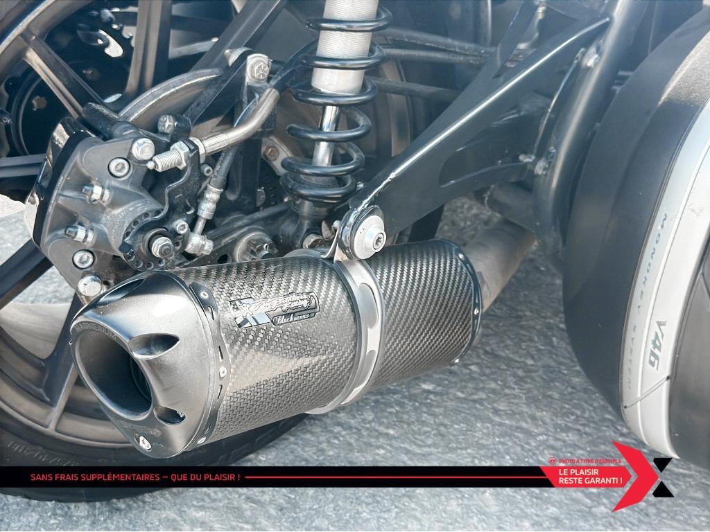 Campagna T-Rex 16S 2017