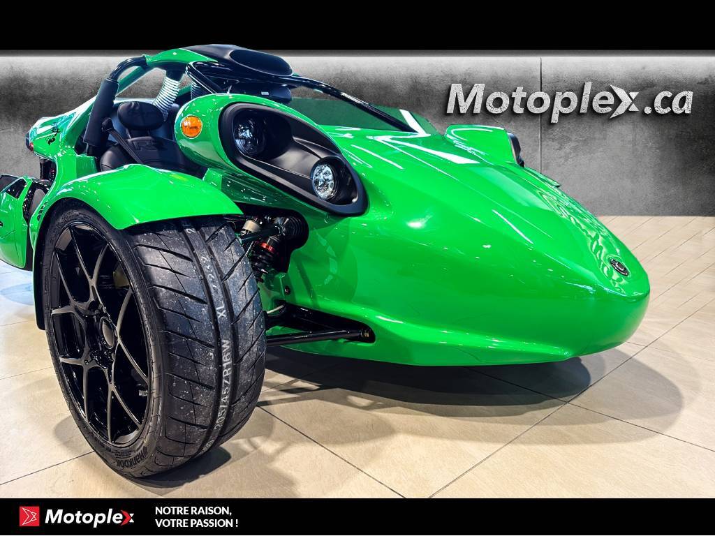 Campagna T-Rex RR 2026