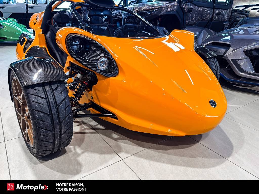 Campagna T-Rex RR 2026
