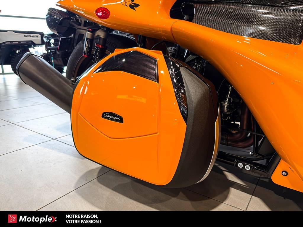 Campagna T-Rex RR 2026