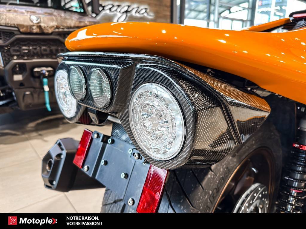 Campagna T-Rex RR 2026