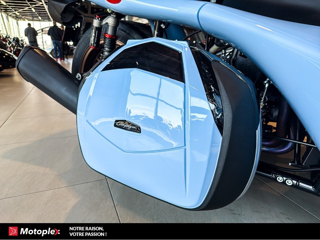 Campagna T-Rex RR 2026