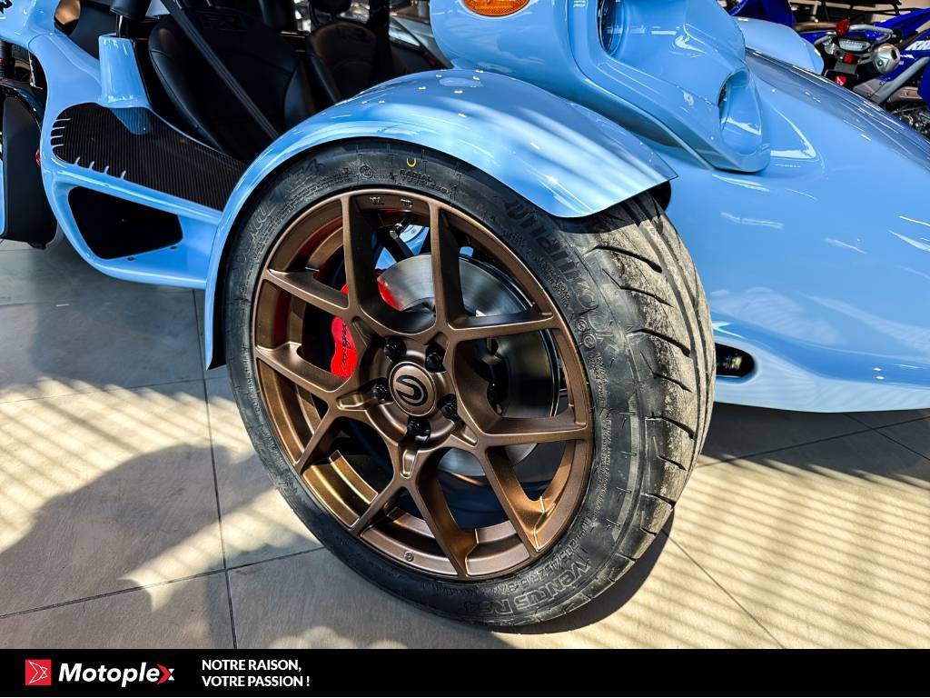 Campagna T-Rex 2026
