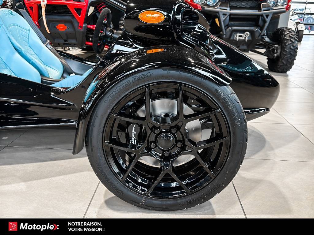 Campagna T-Rex 2026
