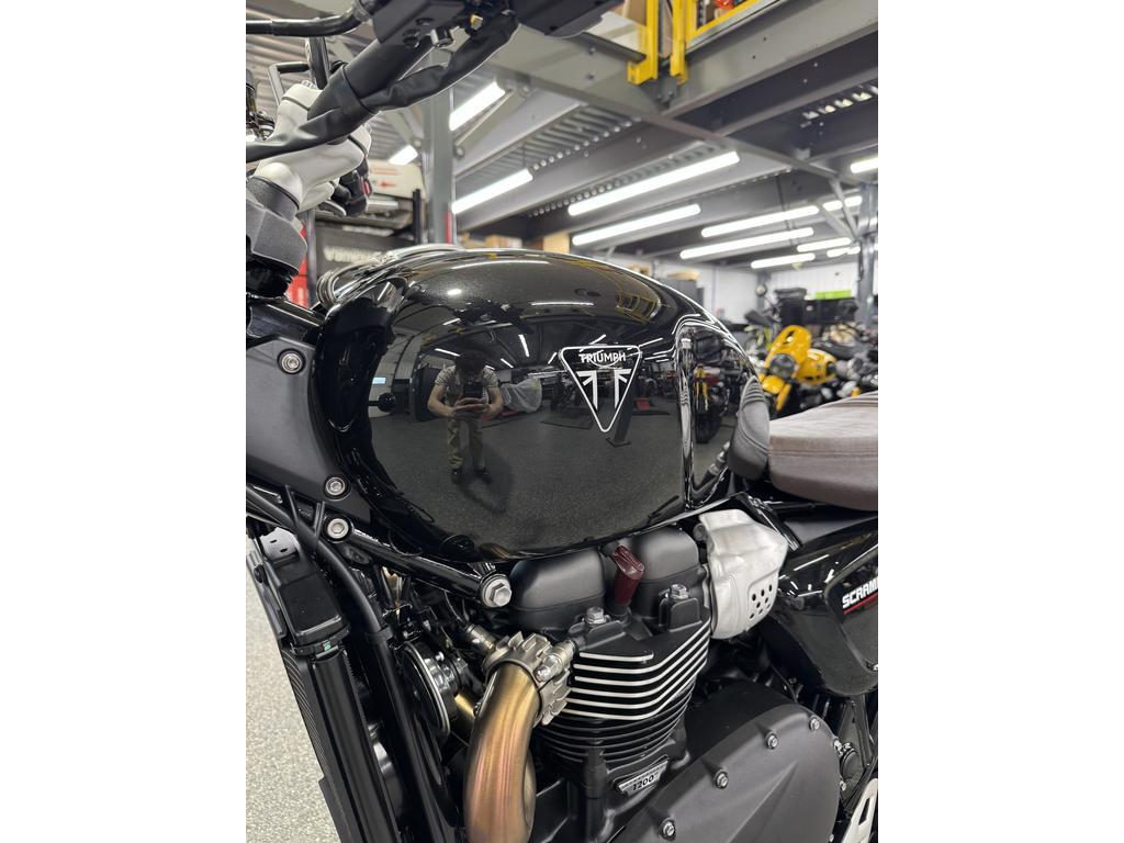 Triumph SCRAMBLER 1200 X 2026